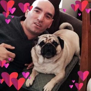 Meet your Posher, Robert